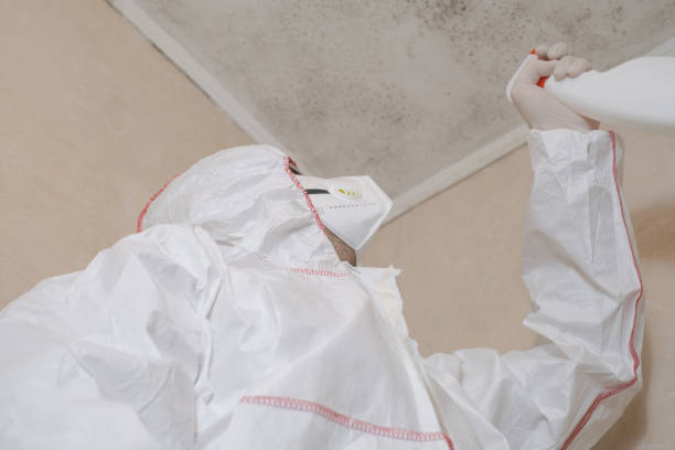 Best Commercial Mold Removal  in Conley, GA