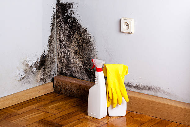 Best Residential Mold Removal  in Conley, GA